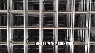Geschweißter Draht Mesh Panels