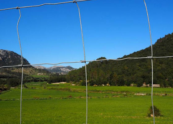 Hochfester Feld-Zaun Metal Wire Fence H2.4m für Bauernhof und Weide