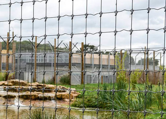 Hochfester Feld-Zaun Metal Wire Fence H2.4m für Bauernhof und Weide