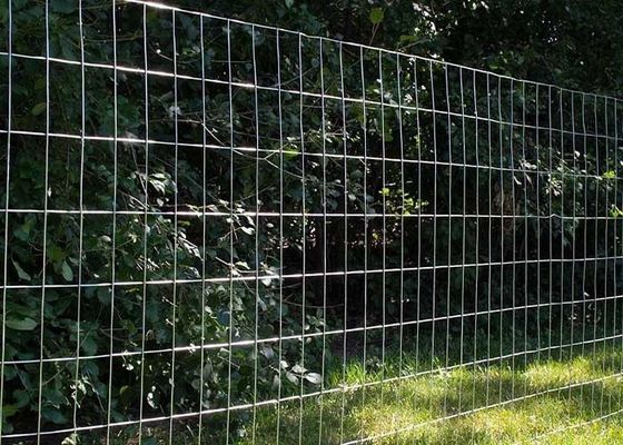 Galvanisierter geschweißter Draht, Walzschranken mit Maschengröße 2 × 4