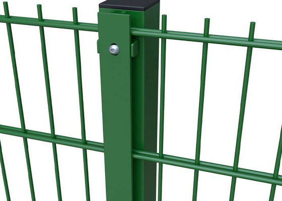 Doppeldrahtzaun 3000 mm Breite PVC beschichtet 6/5/6mm Draht